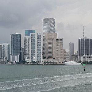 Meet your Posher, Rose